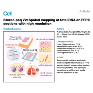 120-Stereo-seq V2: Spatial mapping with high resolution