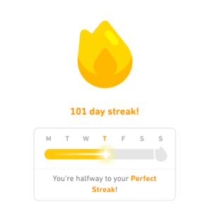 自学法语第 101 天小结