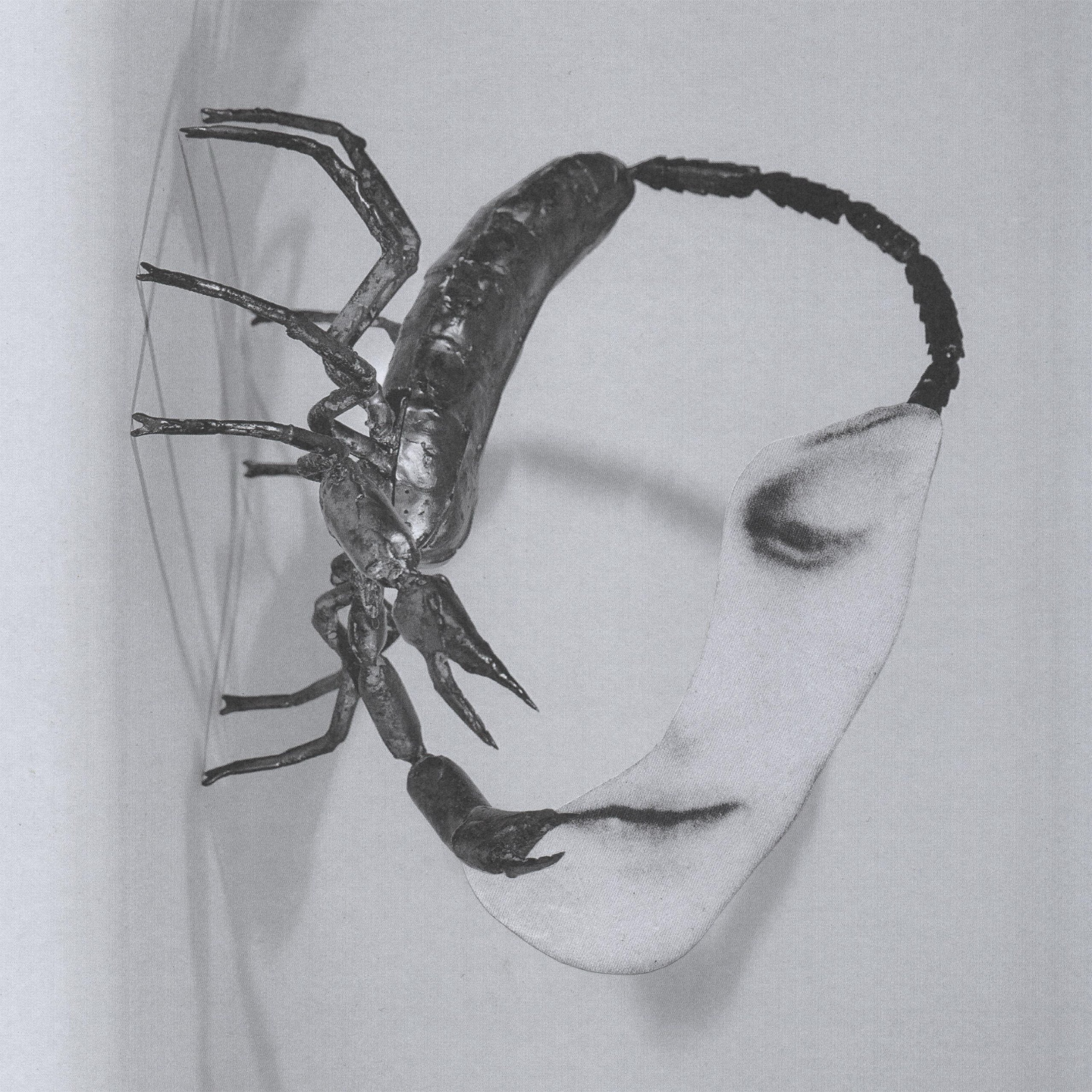 Tortoise - Touch episode artwork