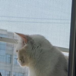 podcaster-avatar