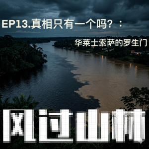 EP13.真相只有一个吗? : 华莱士索萨的罗生门