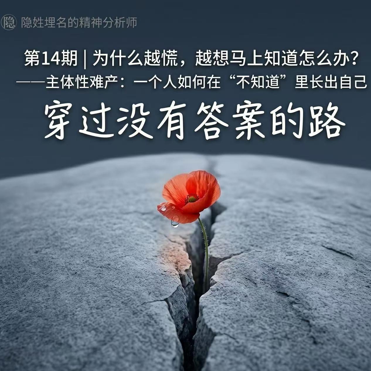 第14期｜为什么越慌，越想马上知道怎么办？ ——主体性难产：一个人如何在“不知道”里长出自己 episode artwork