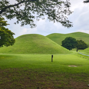 No 187. 韩国文博行：庆州遍布的新罗宝藏（续）