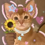 天大地大睡觉最最大