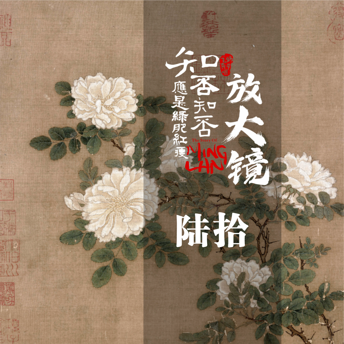 知否放大镜 60：露水情缘成就达成！玉清观大床房是如何开起来的？ episode artwork