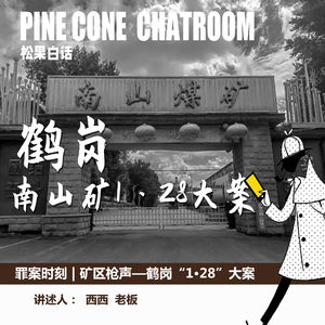 101.罪案时刻|矿区枪声—鹤岗南山矿“1·28”持枪抢劫大案
