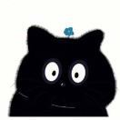 喵了个喵的喵喵