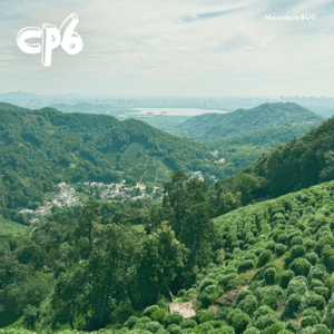 CP6. 西湖标毅线(二)山的名字