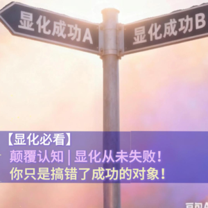 颠覆认知 | 显化从未失败，你只是搞错了成功的对象!