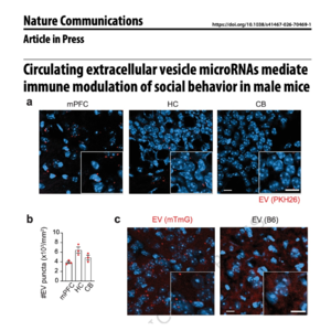 833-Blood Extracellular MicroRNAs Modulate Social Behavior