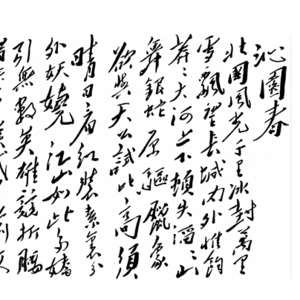 《沁园春·雪》发表背后的故事