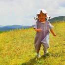 平头小程