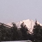 春堂自暖客
