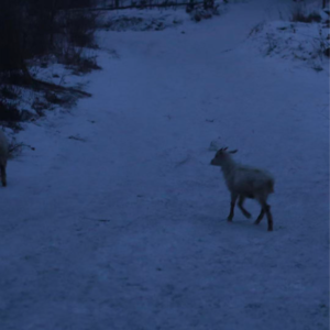 vol.7 被诈骗4天,失去全部积蓄,她在“废墟”上重建自我