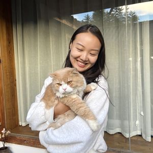 不不nono-
