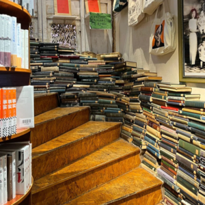 翠湖边，银杏黄，春城书正香