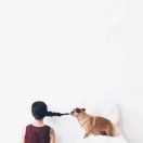 一只傲娇的菜丸子