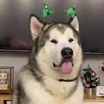十点十分乐