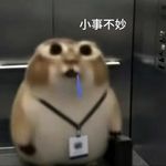 小王算了