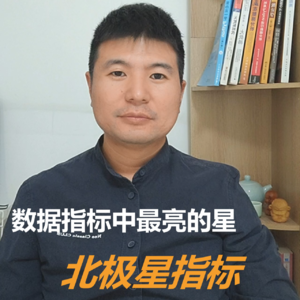 数据指标中最亮的星（上）