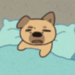 有亿点菜媛子