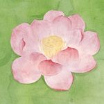 早睡早起爱护身体