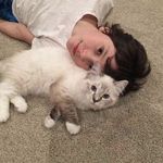 油麦田大猫