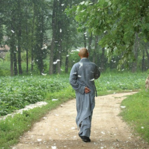 玄学夜话010｜轮回转世，电影大只佬中的因果