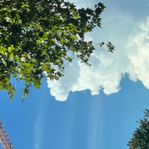 vol.09 裁!裁!裁!现在奢侈品柜姐还能当吗?