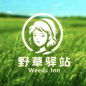 008 520特辑|爱你老己盛行?盘点国人近30年婚恋观变迁