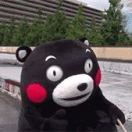 熊先生