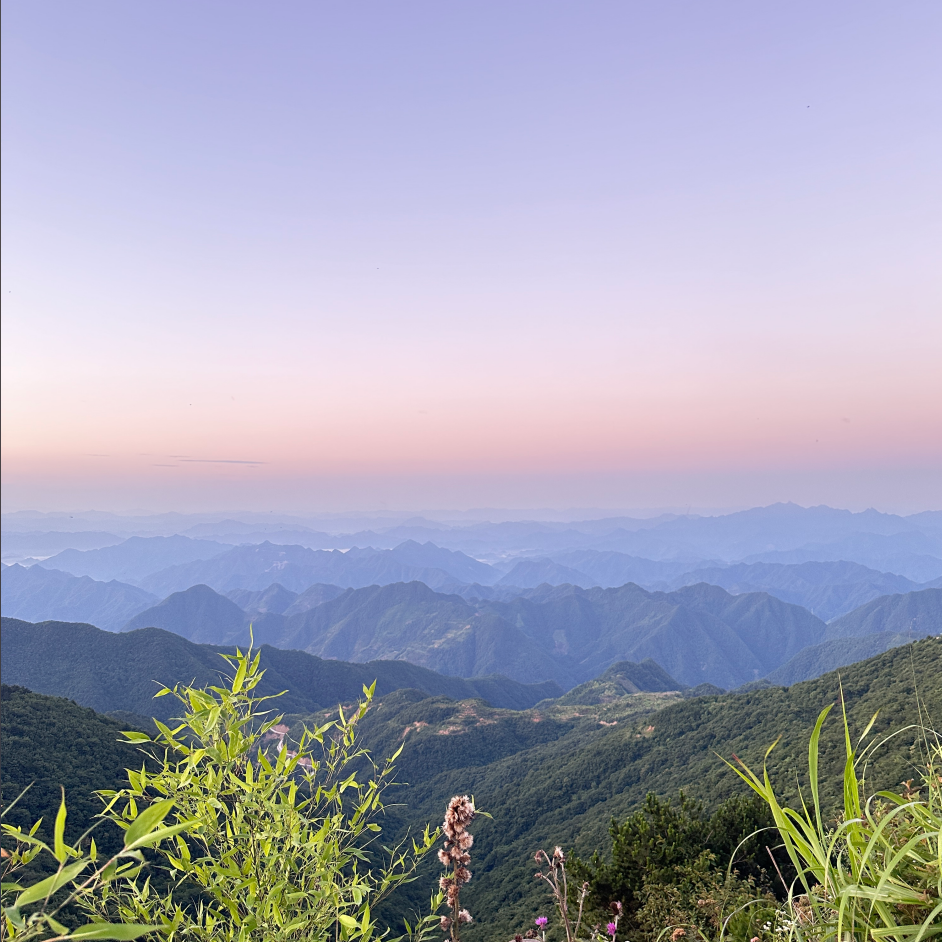 我们聊聊Let\'s talk