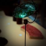 努力清醒的知道自己要什么