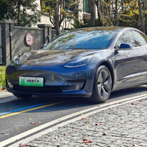 特斯拉Model 3 2020年上牌