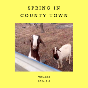 vol.225:等一个“县城之春”