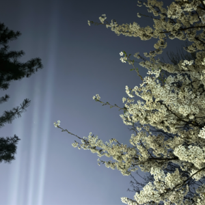 Vol.166 看Live、追星、见面聊天，是一场盛大温馨的共鸣