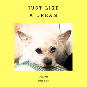 vol.345：往你的大脑里，吹几个肥皂泡泡～