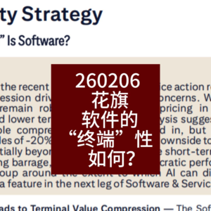 软件的“终端”性如何？