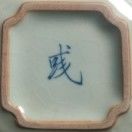 彧_D13g