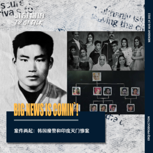 案件两起：韩国魔警和印度灭门惨案