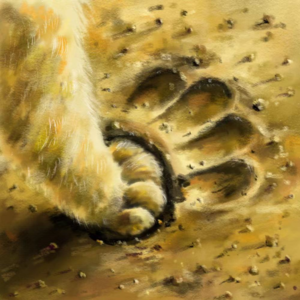 Vol.3: 藏在内心深处的羡慕，慢慢变成了我们的一部分