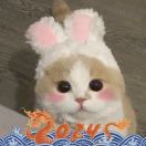 float_ntng