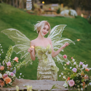 EP17 金星双鱼座：以神性入爱河，共情力太强是一把双刃剑