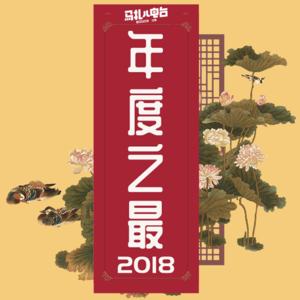 2018年度之最,新年快乐!-马扎儿84
