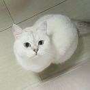 cherie__dvK6