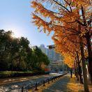 想不出昵称的人