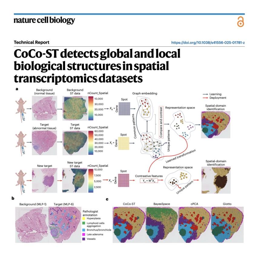 977-CoCo-ST: for Spatial Transcriptomics Domain Detection episode artwork