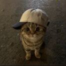 Roberto-