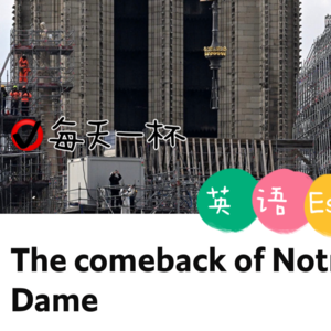 【220】巴黎圣母院回归视野