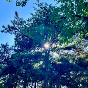 002黑暗时代——第一缕星光与宇宙的苏醒